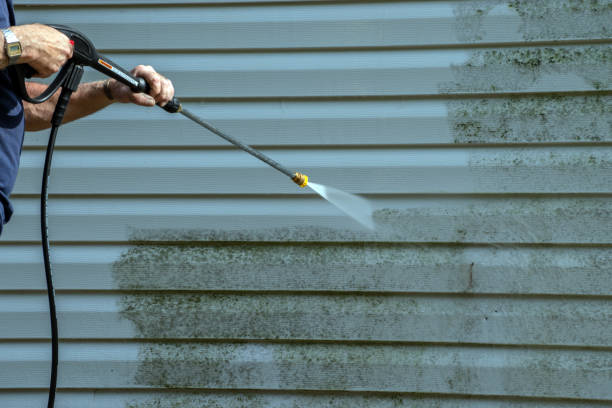 Best Fence Pressure Washing  in South Bloomfield, OH