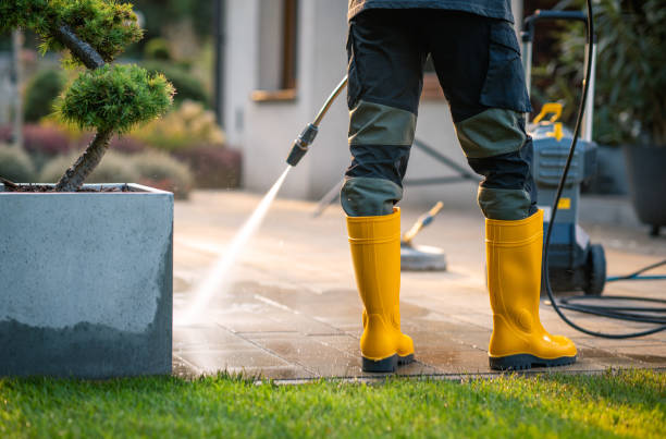 Best Power Washing Near Me  in South Bloomfield, OH